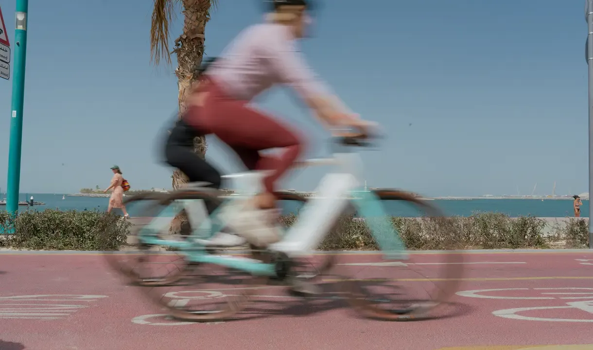 French Craftsmanship, F1 Heritage