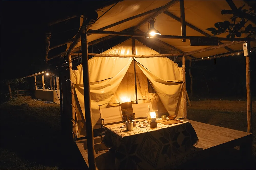 UAE safari camp