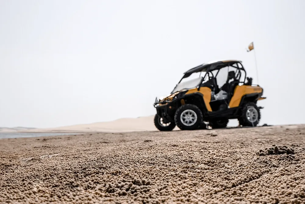 Main Image Choose Your Ride - Types of Buggies for Rent in Dubai