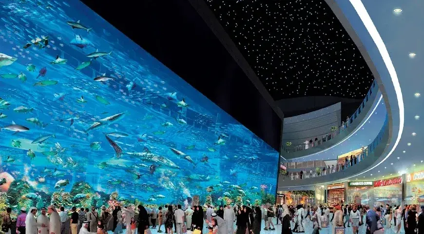 Dubai-Mall-Aquarium-and-Underwater-zoo-Tickets_11zon-870x480.webp