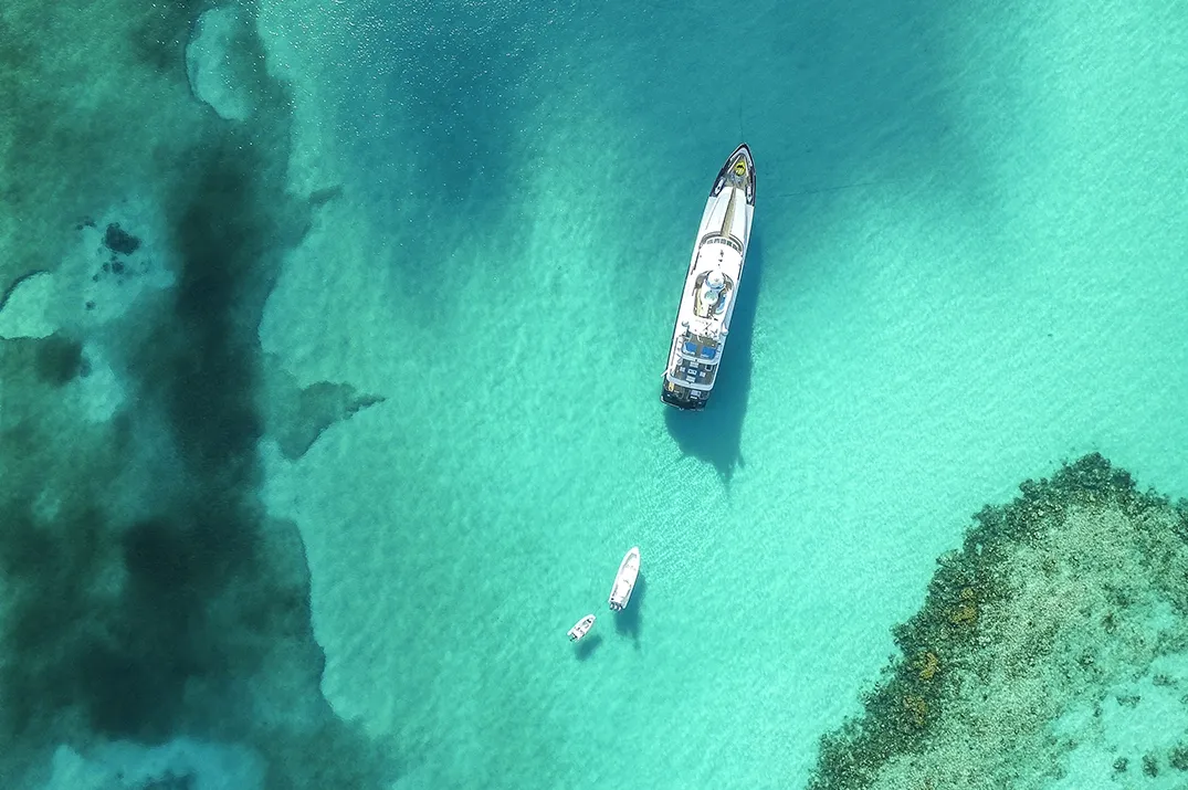 Main Image Bahamas Yacht Charter Seafood Guide - Top Spots and Tips
