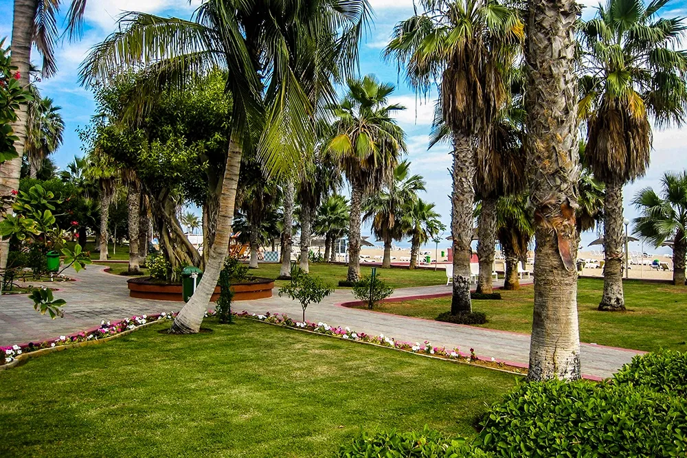 أنشطة حديقة الراشدية عجمان