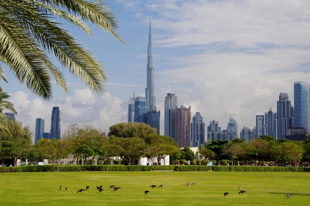 Main Image Grill & Thrill - Where to Find the Best BBQ in Dubai