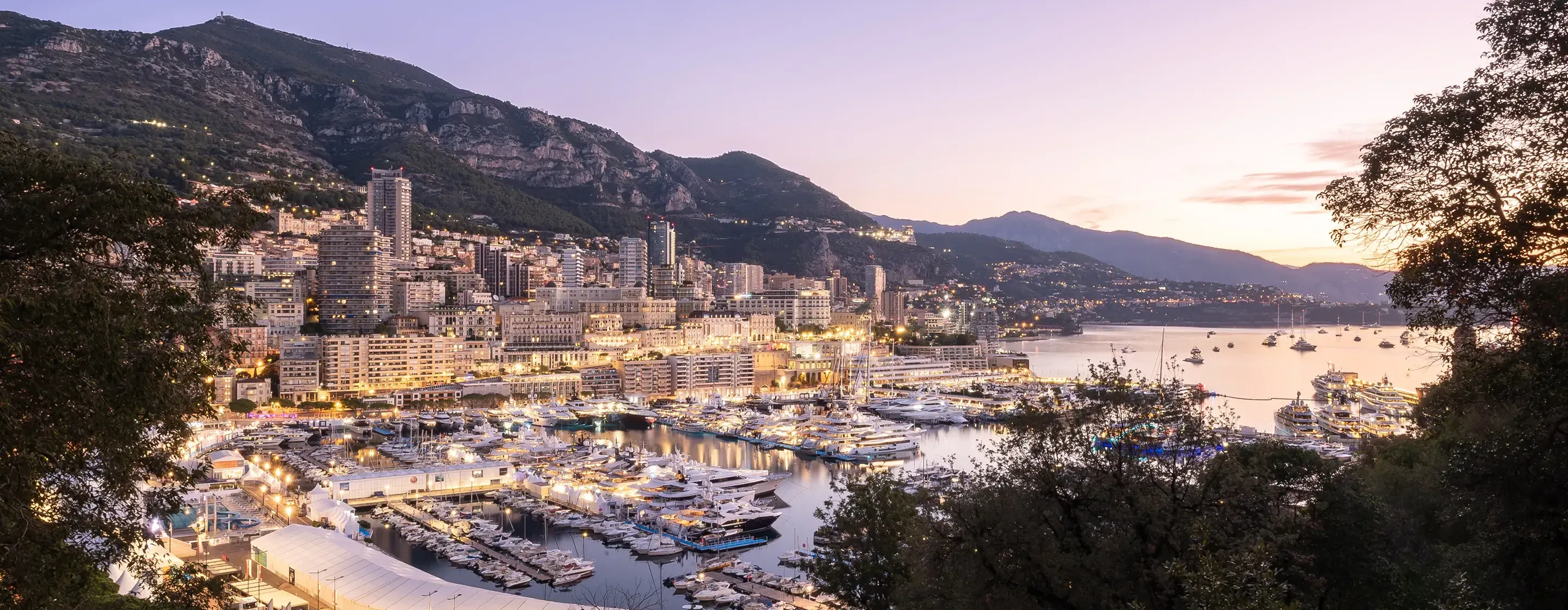 The Monaco Yacht Show: hero photo