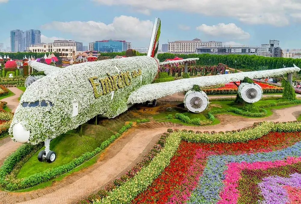 garden miracles.webp