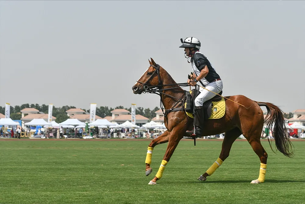 horse riding in dubai