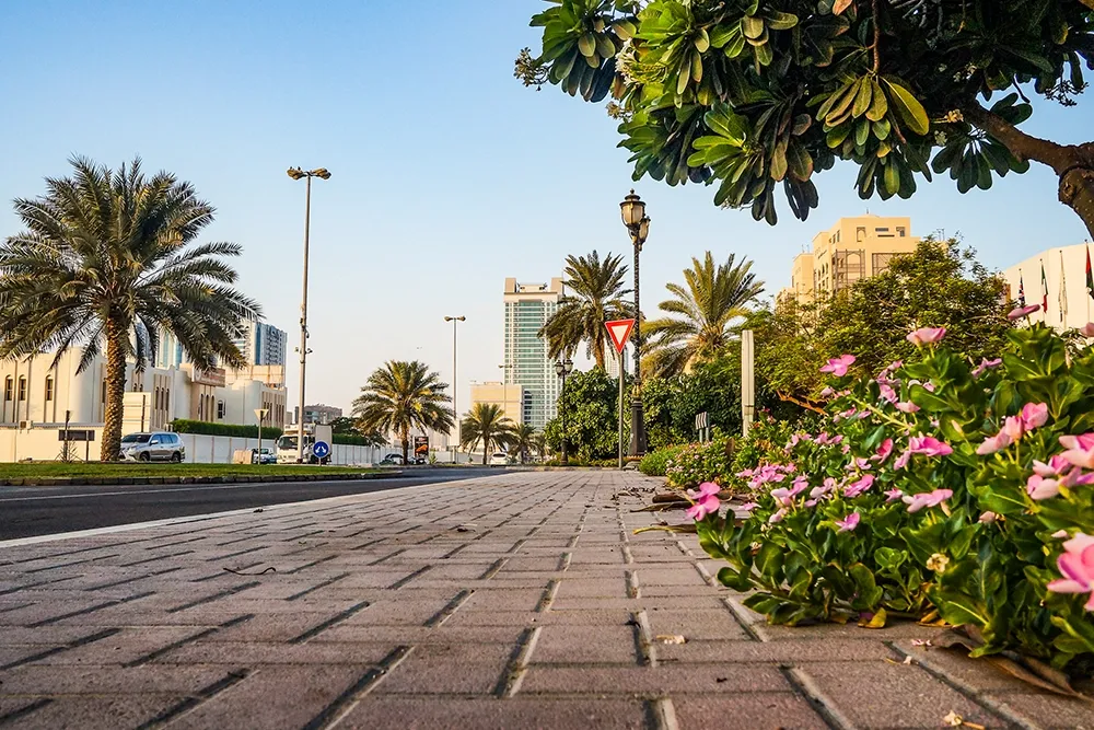 كيف تساعدك بينو في الوصول إلى حديقة الحميدية