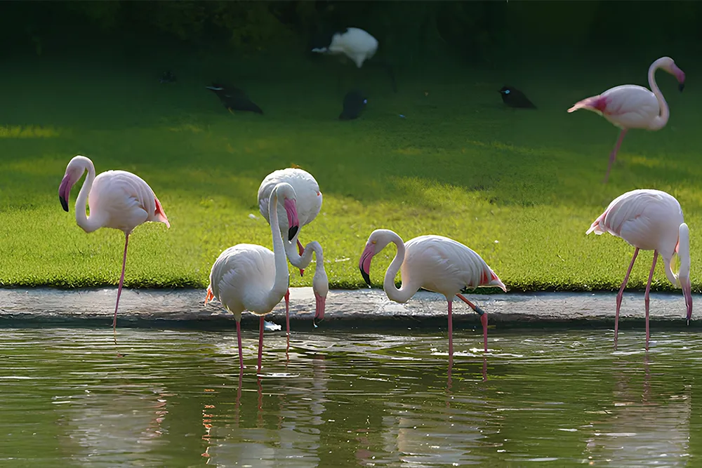 natural places in uae