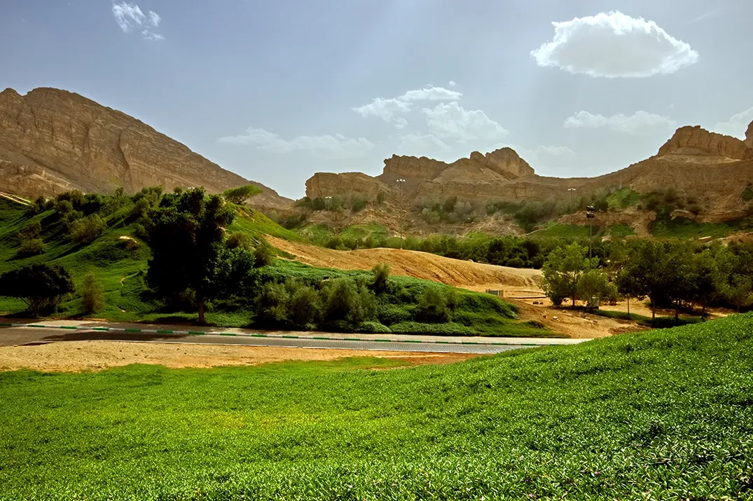 نصائح لقضاء يوم مثالي في المبزرة