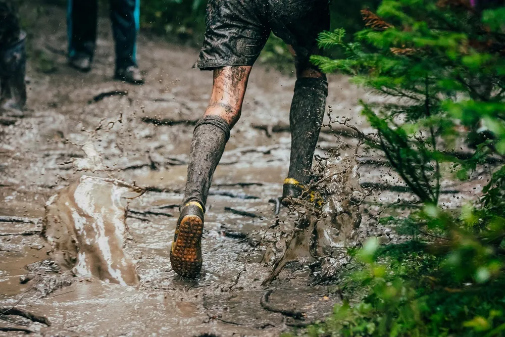 price for tough mudder