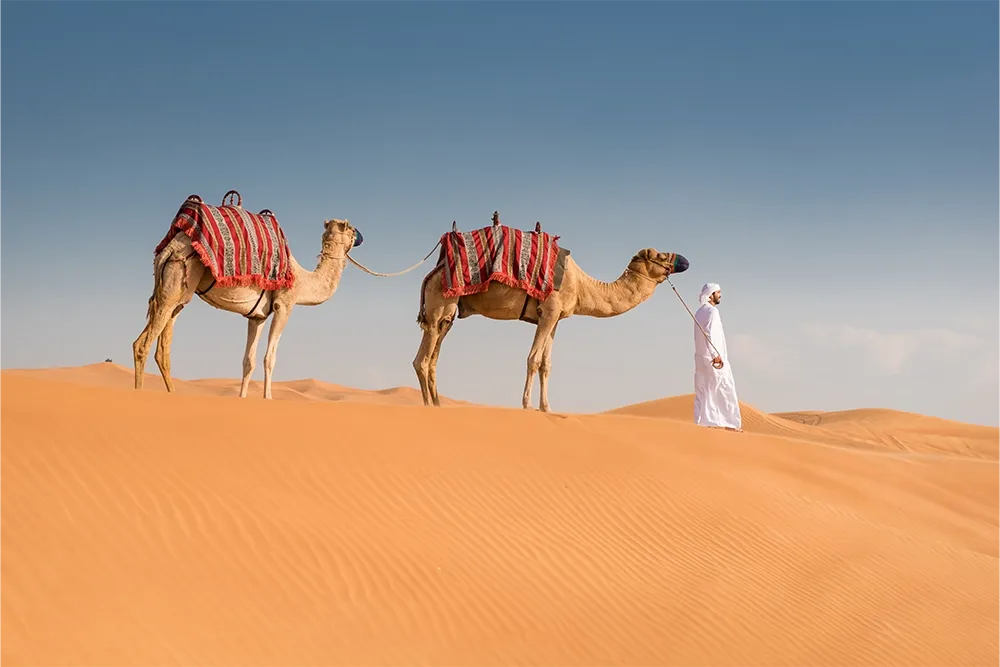 رحلات السفاري في الإمارات