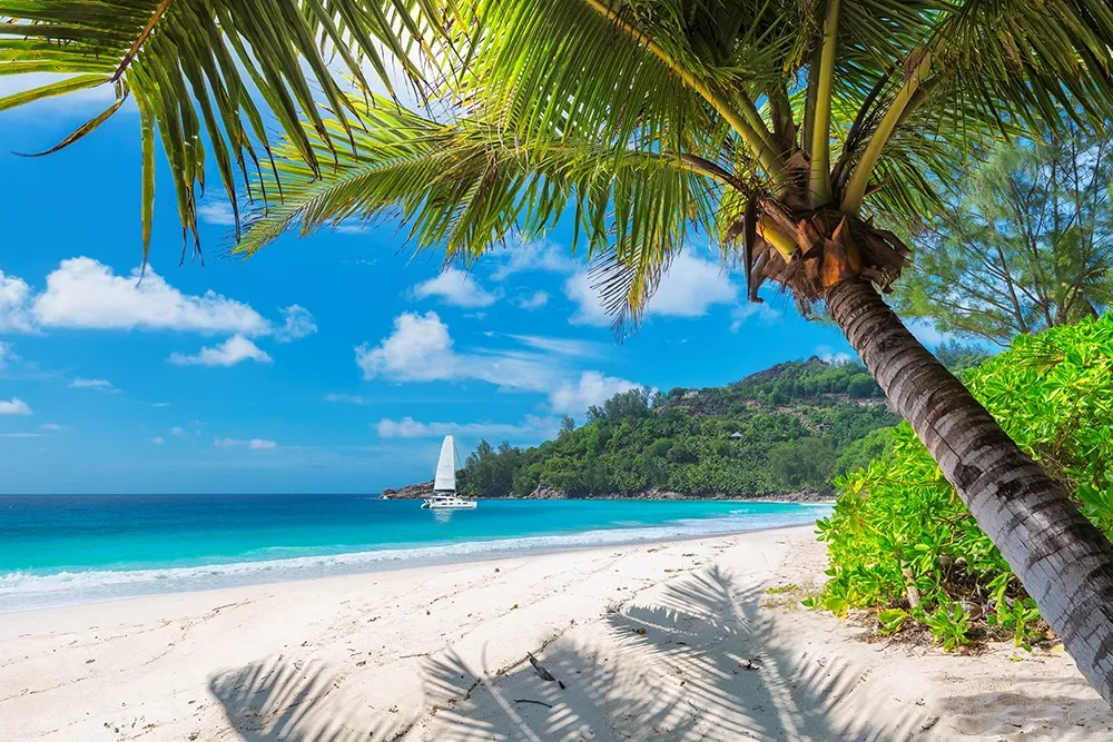 Main Image When to Cruise Paradise - Your Guide to Sailing the Bahamas