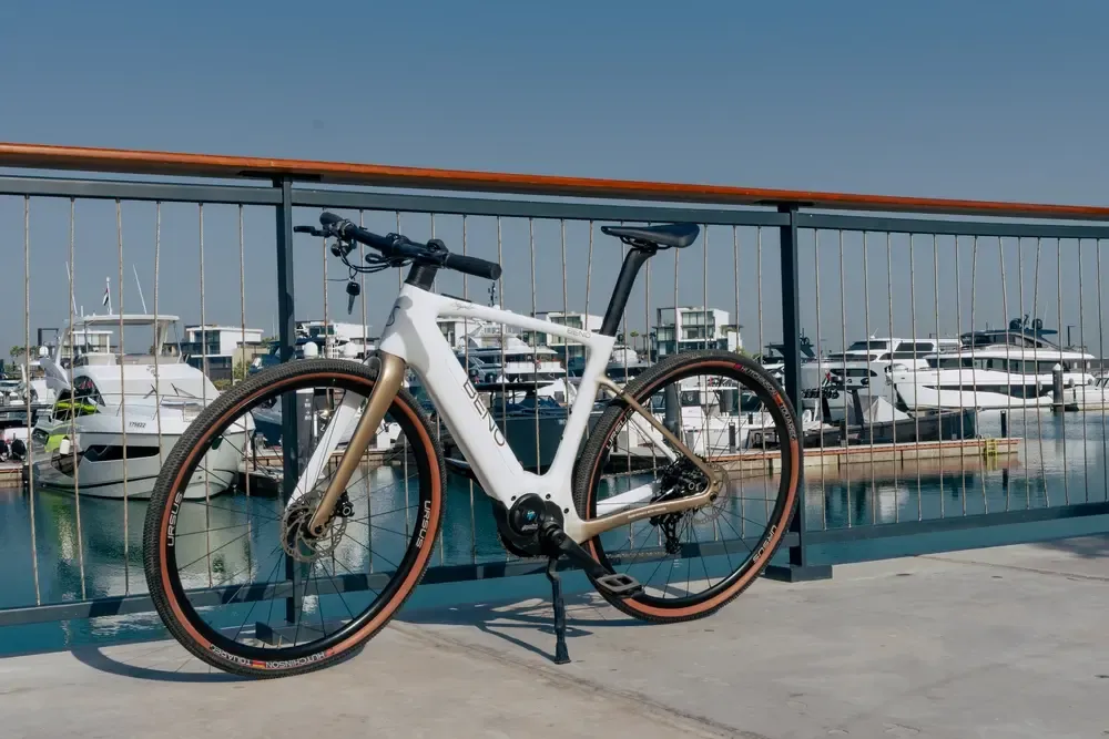 stajvelo bikes rental