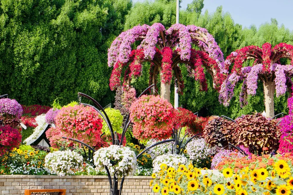 top winter outdoor activities in Dubai